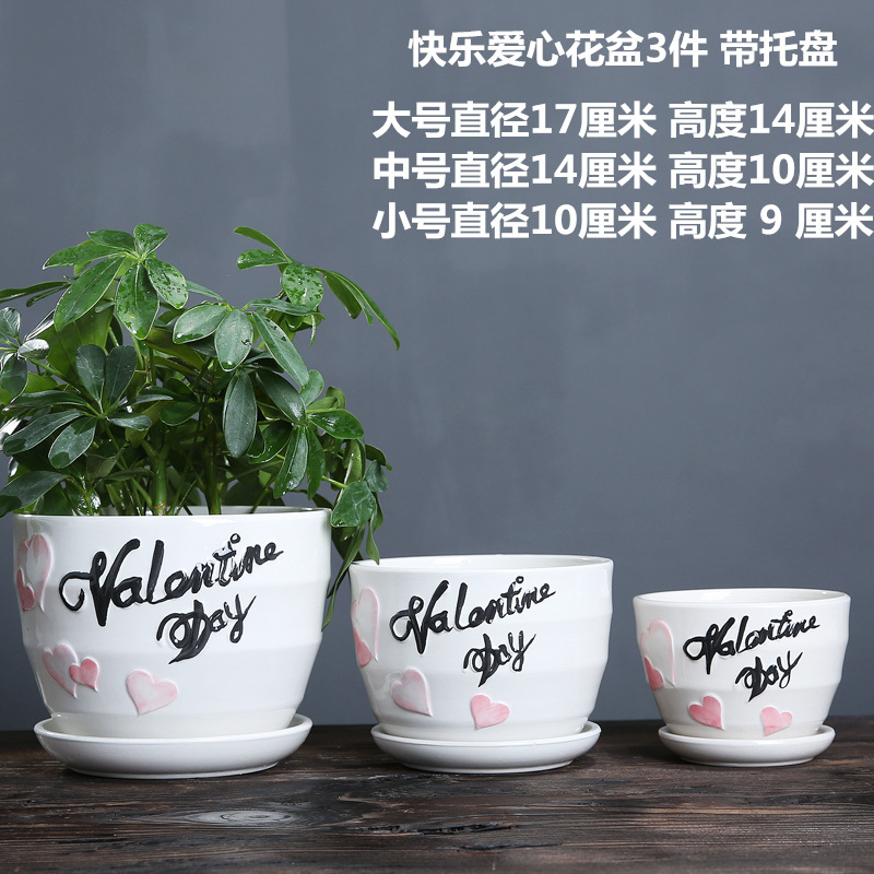 114A2971 副本_副本