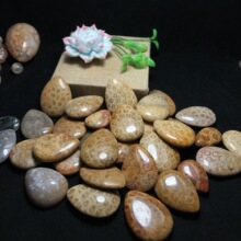 �ػ� &nbsp;ɺ���� �ջ�ʯ�r���Ʒ����