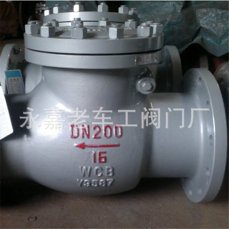 不锈钢旋启式止回阀 H44H-16C H44H-16P 法兰旋启式止回阀 DN700