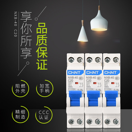 Chint household air switch small circuit breaker NXB-40 1P+N double in and double out C type small circuit breaker