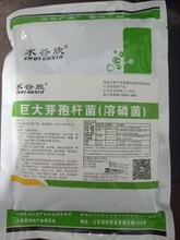 【水谷欣】巨大芽孢杆菌 1千克（溶磷菌） 抗重茬微生物菌剂