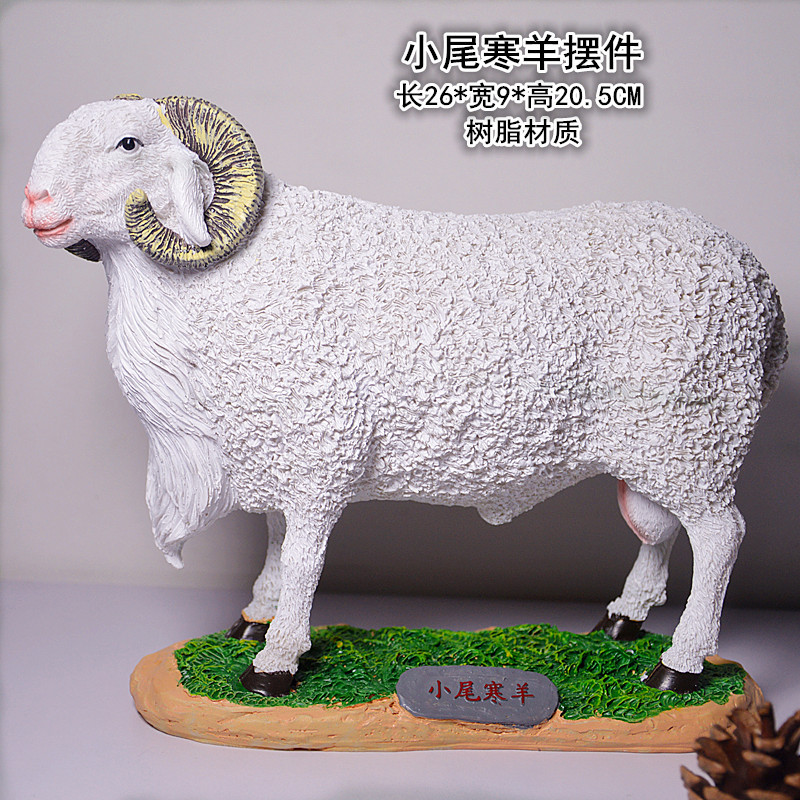 小尾寒羊.jpg