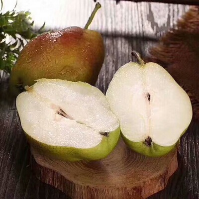 [Crisp, sweet, and refreshing]Shaanxi Pear Taste Similar Korla Fine slag