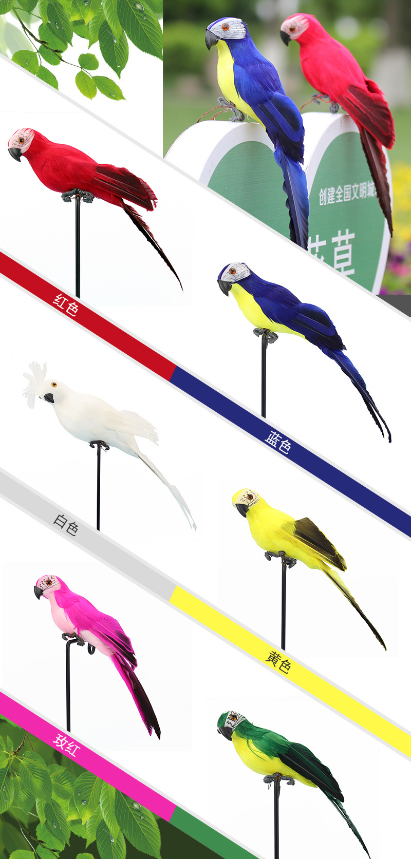 鹦鹉详情页_08.jpg