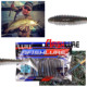 Soft Paddle Tail Fishing Lures Soft Plastic Baits Fresh Water Bass Swimbait Tackle Gear