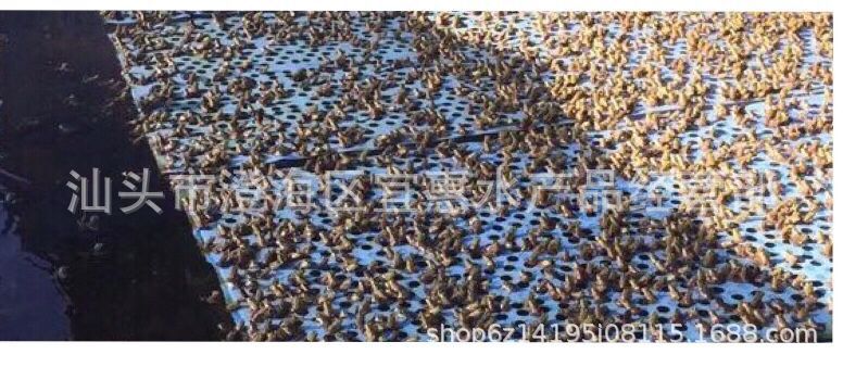 QQ图片20190411142309