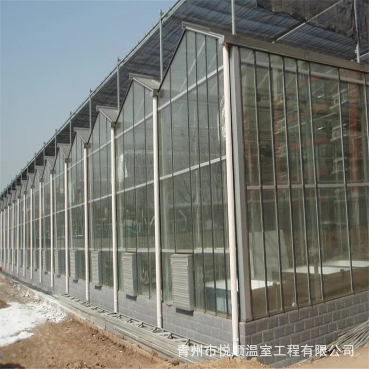 智能温室 新型蔬菜大棚骨架智能大棚 玻璃温室 连栋温室厂家供应