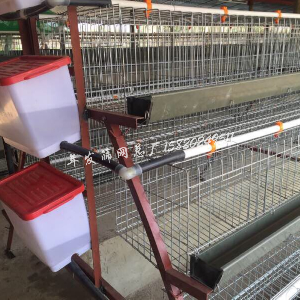 广州工厂生产养殖阶梯式三层蛋鸡笼 全自动饮水系统铁网笼具