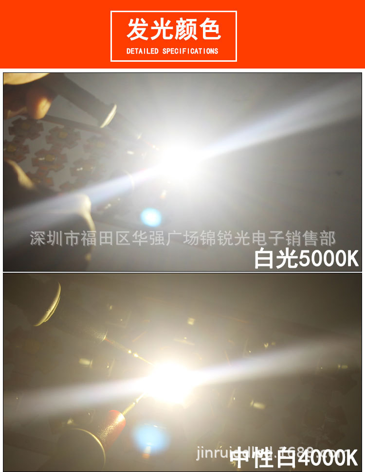 7070_06.jpg