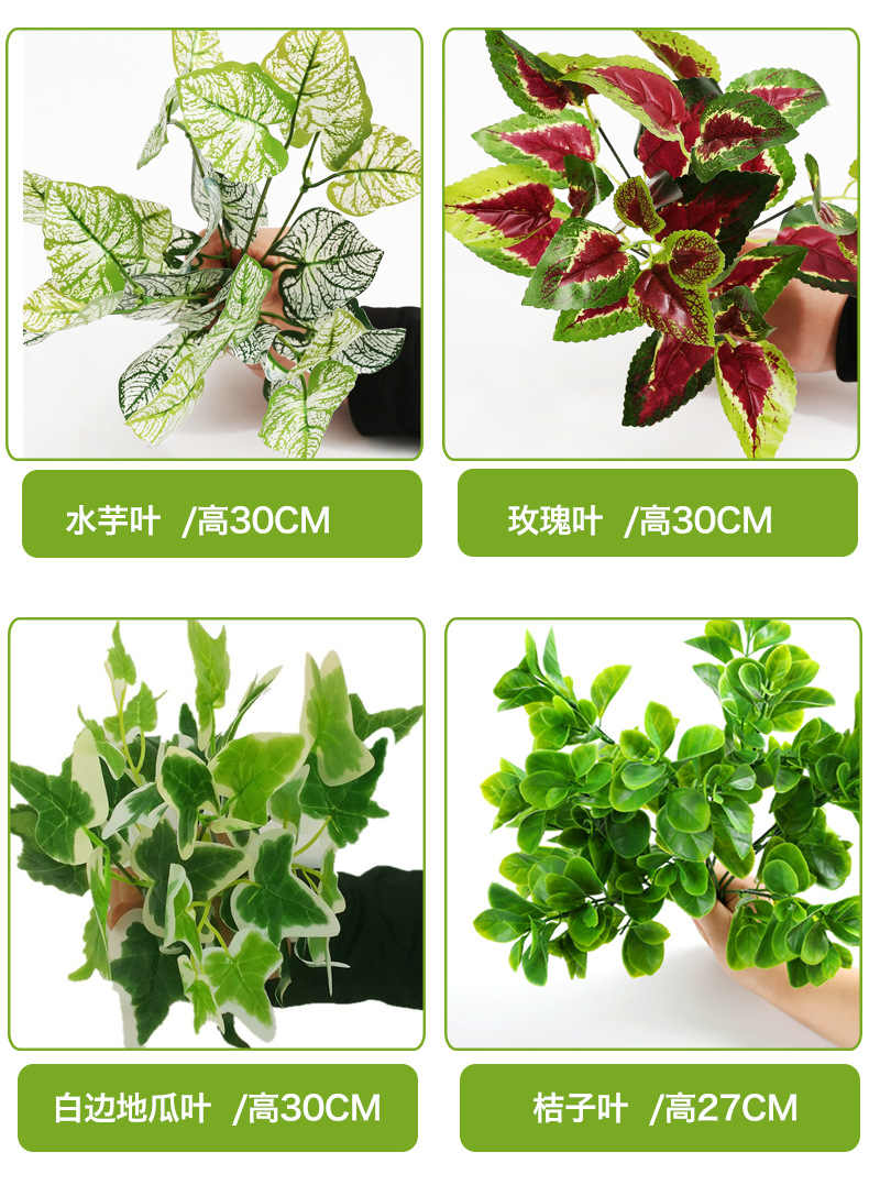 小植物_09.jpg
