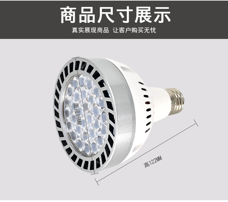 厂家热销PAR30射灯满天星款30W45W帕灯