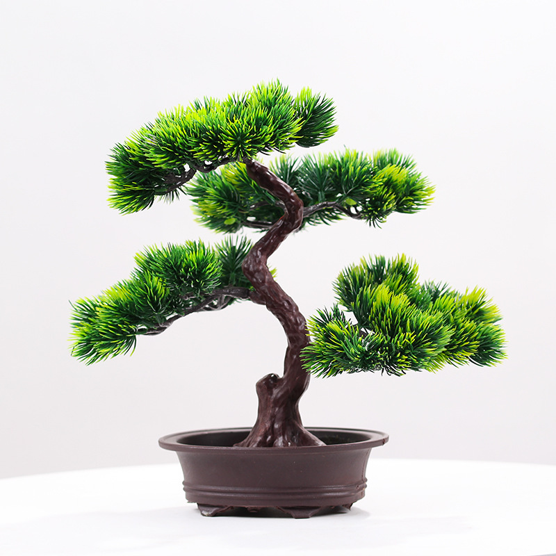 True welcome pine potted plant ornaments large true pine potted landscape green plant furnishings