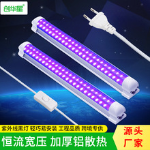 跨境LED紫光燈管 t8寬壓消毒燈KTV酒吧固化燈led燈管廠家批發