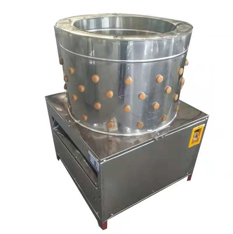 유형 50 닭 오리