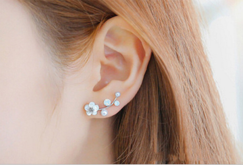 Korean INS shell earrings, shell flower pearl earrings, simple branch earrings, earrings for women