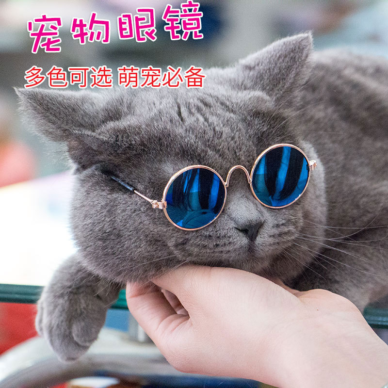 20190302_112430_028.jpg