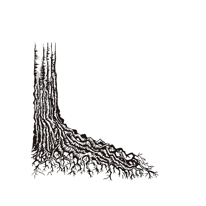 HTB1TCM5XbY1gK0jSZTEq6xDQVXaU