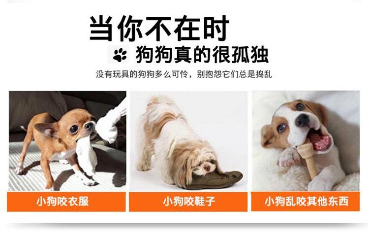 6332640824_307465265_看图王