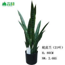 仿真绿植;植物工艺品;场地布置道具