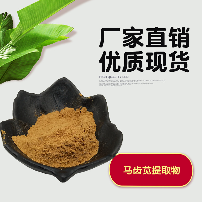 马齿苋提取物10:1 马齿苋萃取原料粉末  水溶性马齿笕粉
