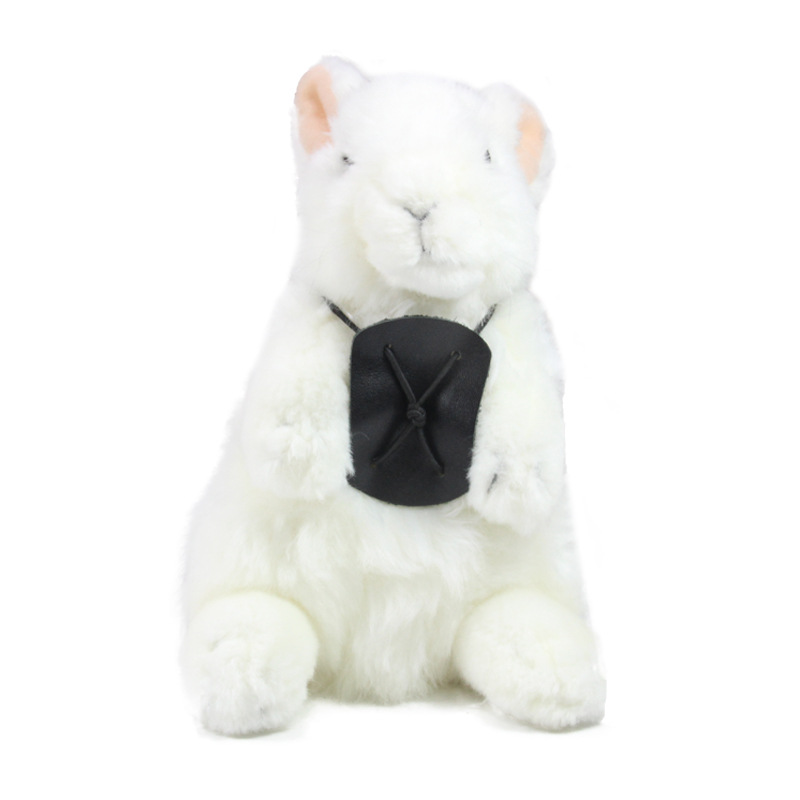 19083111松紧带小宠胸背带