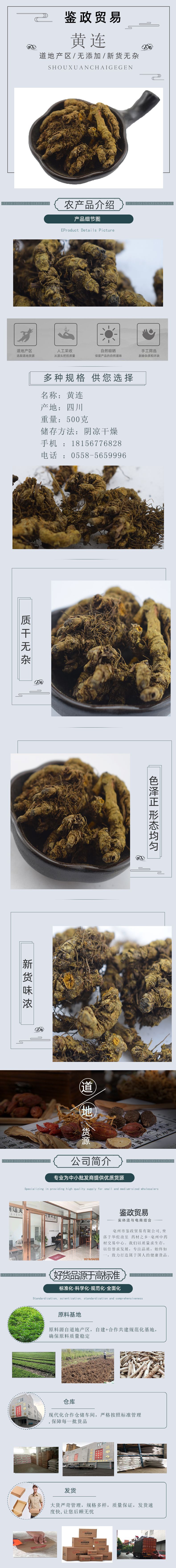 Coptis Slices Huang Lian 黄连 Dried Chinese Goldthread Root Decoction Pieces Sichuan Origin 500g quality and texture