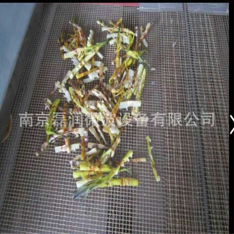 箱式干燥设备_隧道式微波灭菌烘干设备工业微波隧道炉隧道式烘箱