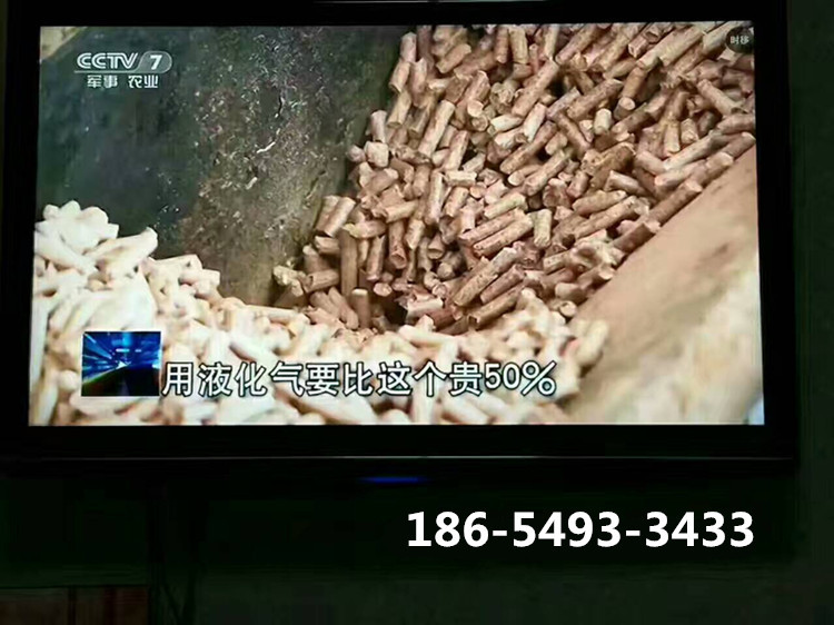 8778987090_2066696623