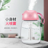 new pattern Mini humidifier usb Nightlight vehicle Aromatherapy Spray Office desktop Atomizer Water meter