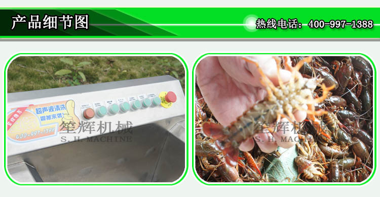 热销 超声波清洗机饭店酒店果蔬清洗机洗菜机 长期供应