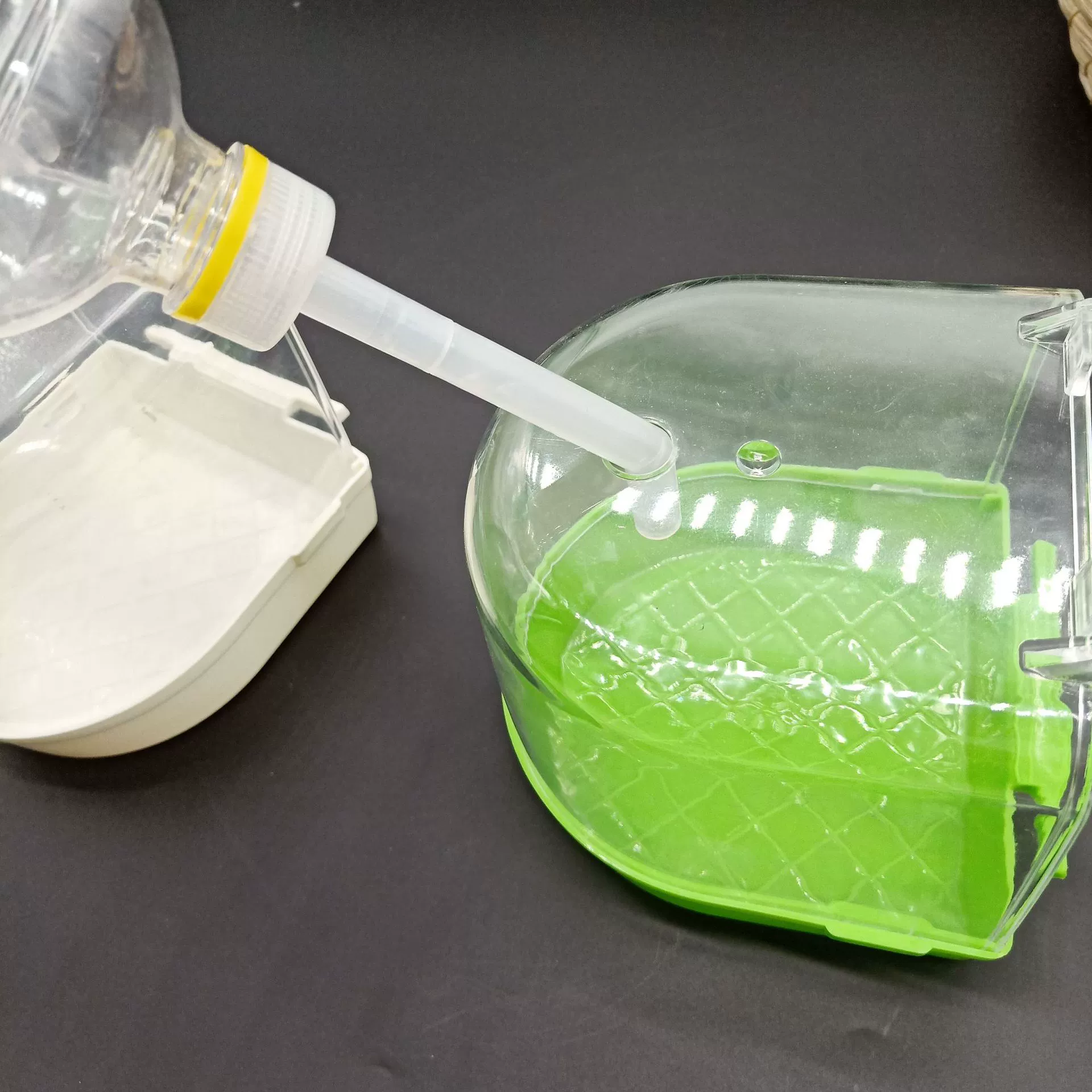 Хэбэй животное птица акриловая Ванна окно Топ с выходом впрыска воды висит птица ванна