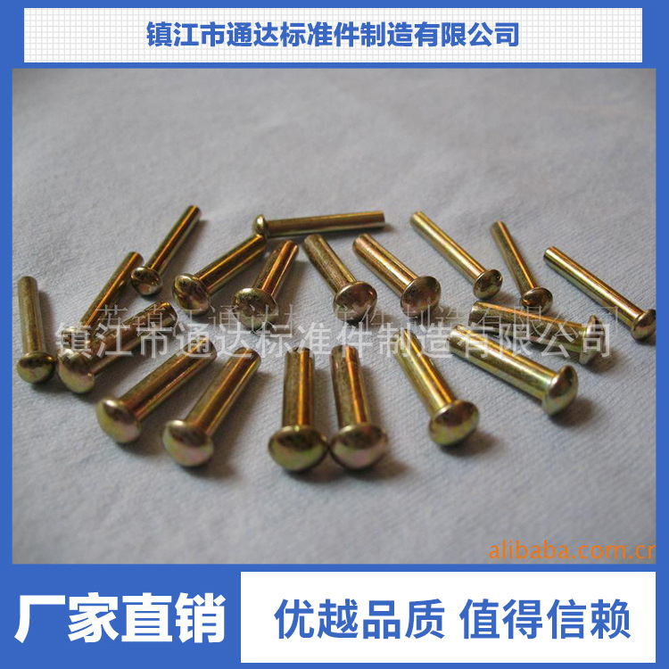 加工定制不锈钢铆钉 M3-M12抗腐耐磨圆帽半空心拉丝铆钉紧固件