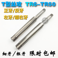 T�ͽz�F���ݼy�z���������������28 30 32 34 36 38 40 42 48 50