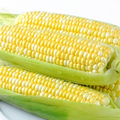 fresh Yunnan Fruit Corn Sweet corn Waxy maize The old altar Corn wholesale One piece On behalf of