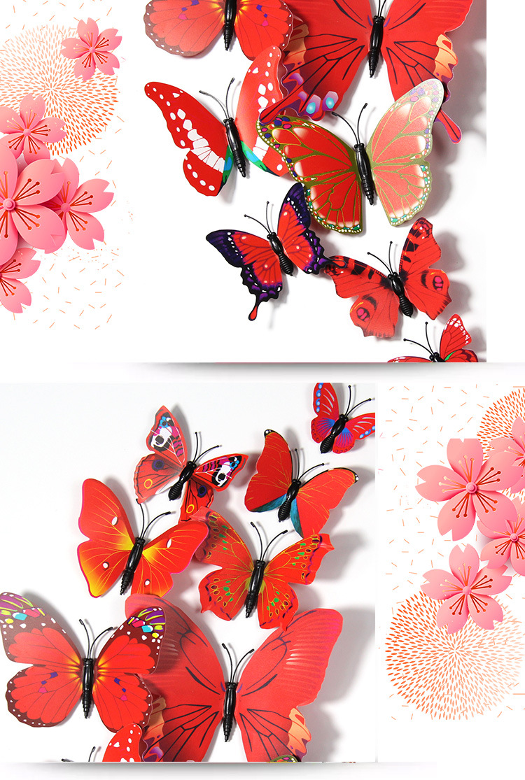 蝴蝶_12.jpg