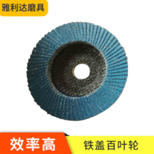 100mmСFwƬ X|100*16mm݆