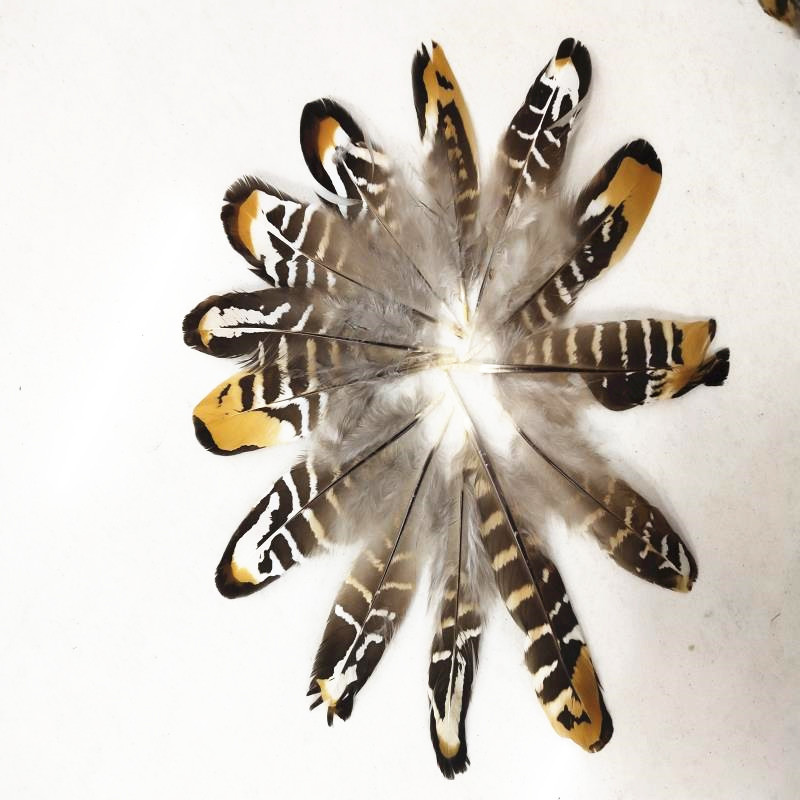 QQ图片20190411142327_副本