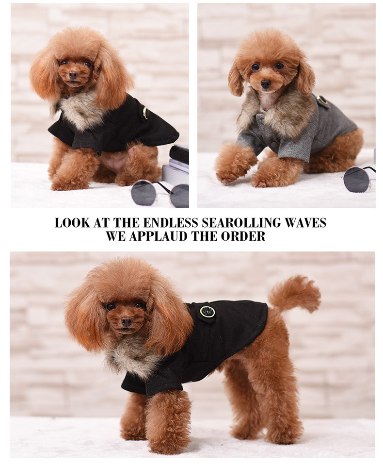 Pet Coat in Grey