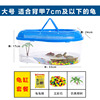 易萌 Turtle tank water, land tank with cover plastic small breeding box Brazilian turtle -raising box, sources of stalls