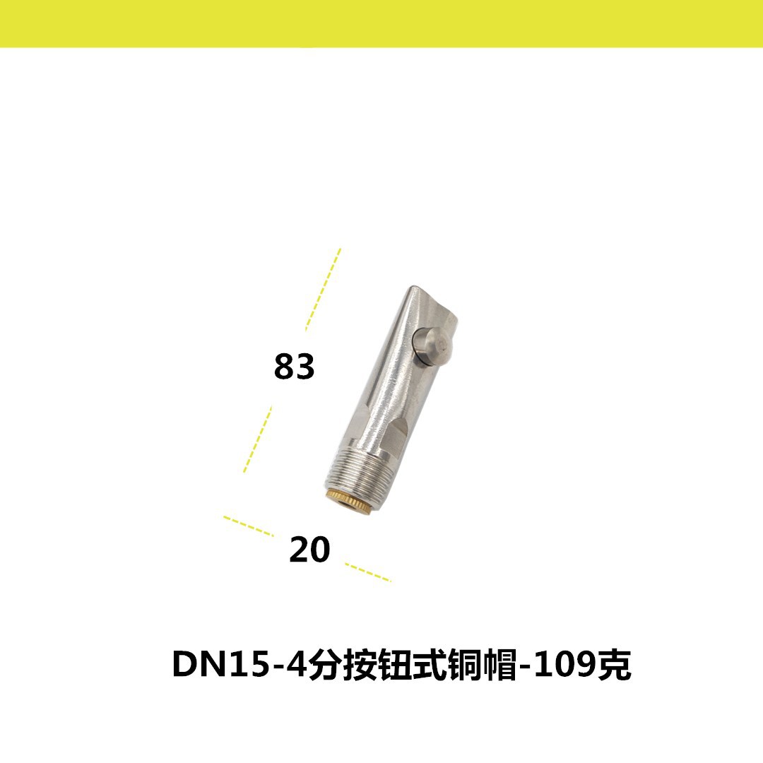 BXG-ZZ铜帽按钮式规格