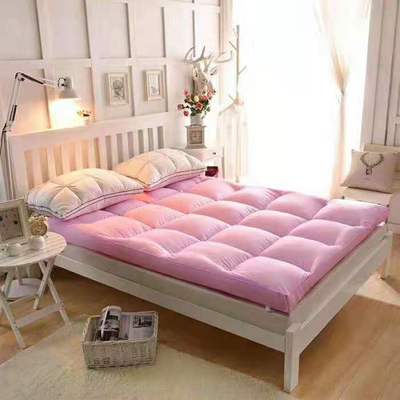 Double Mattress Tatami thickening 10 a centimeter non-slip student three-dimensional Velvet feather mattress thickening fold mattress