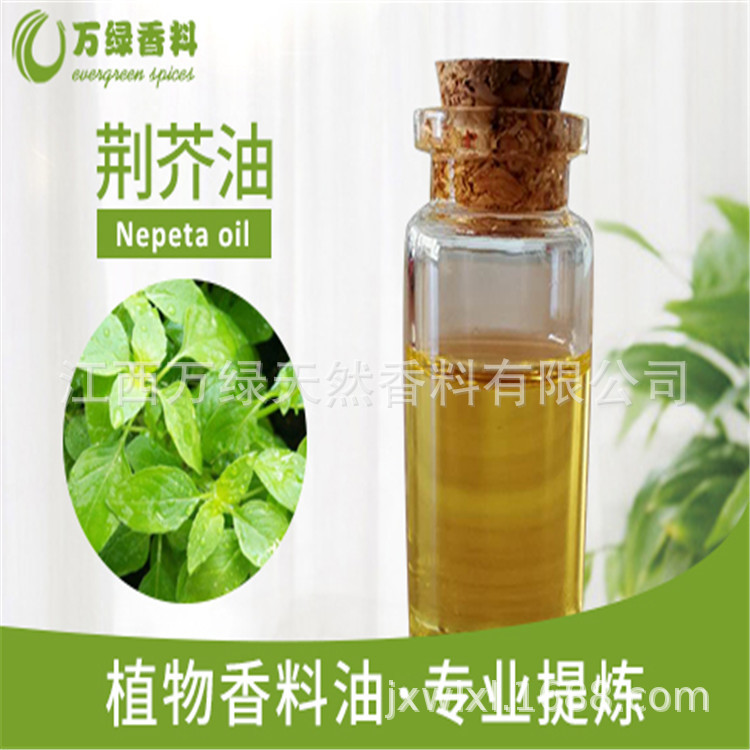 荆芥油 G应原料荆芥油 化妆原料批发精油