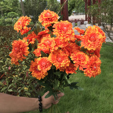 �S��ֱ�N������޾շ��ɻ��ӼҼٻ���������ֲ��6�^���˾ջ�c��