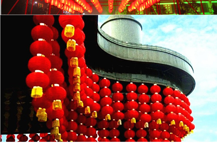 2572686446_2004859595