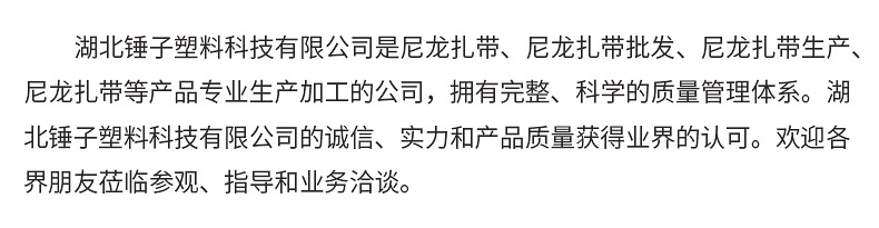 尼龙扎带详情_24