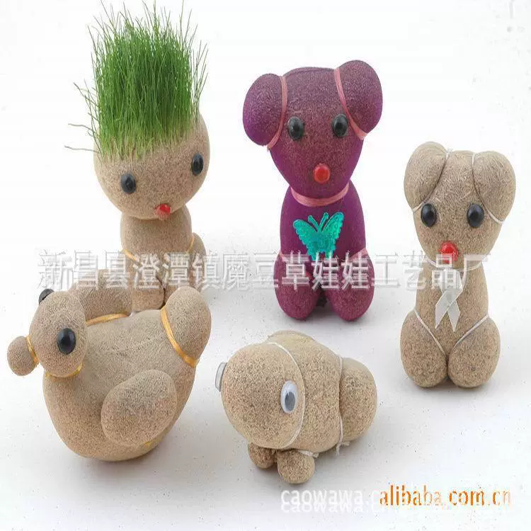 中小号义乌草娃娃 草头娃娃 青草种植新奇特种植长草栽培盆栽玩具