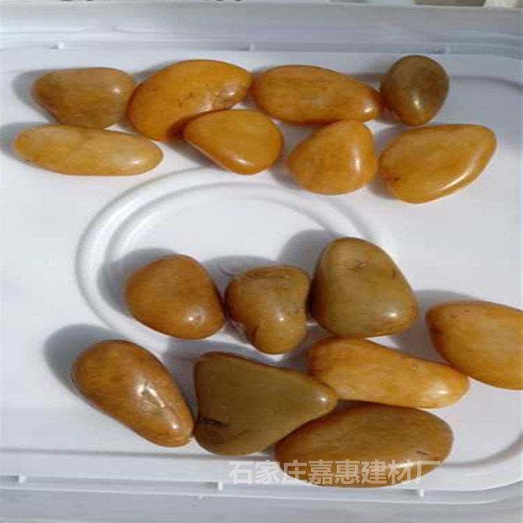 mmexport1555542945324_副本