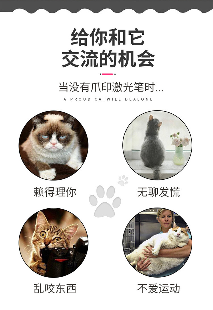 猫爪手电筒 多功能手电 激光逗猫紫光检测白光照明便携小手电批发详情6