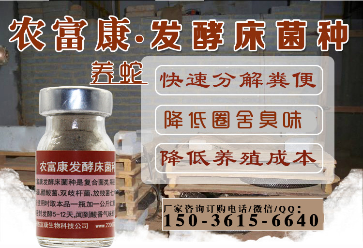养蛇发酵床菌种