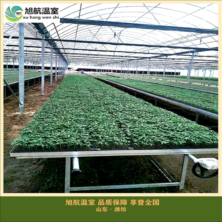 weixintupian_20181223104145_副本